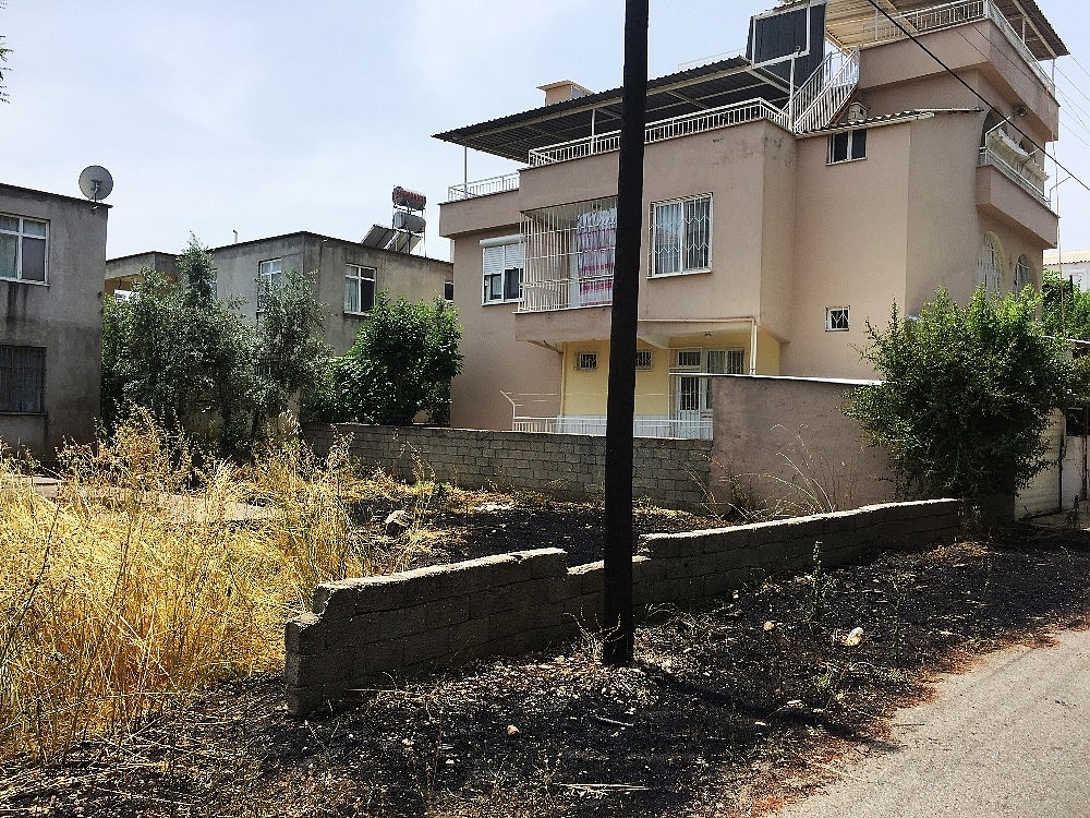 Yılan korkusu bir mahalleyi yakacaktı!