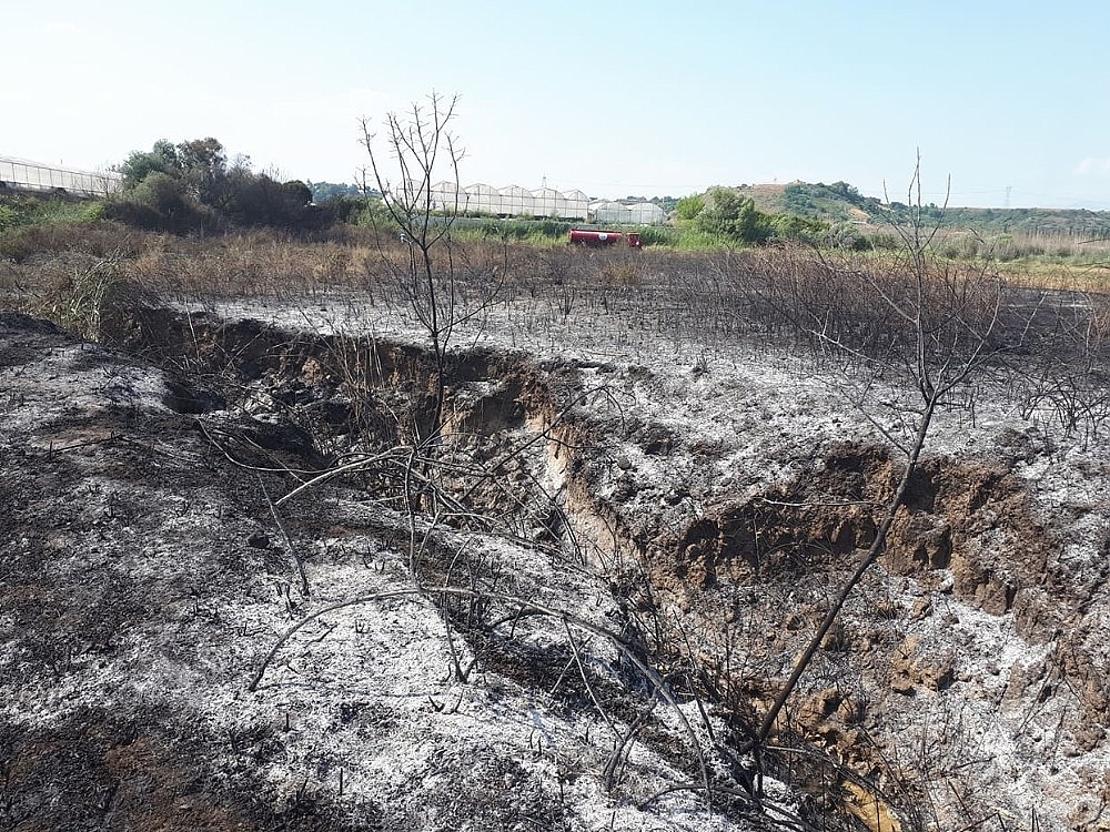 Antalya'da boş arazide yangın!