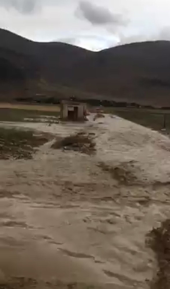 Antalya'da şiddetli yağmur nohut tarlalarını çamur deryasına çevirdi