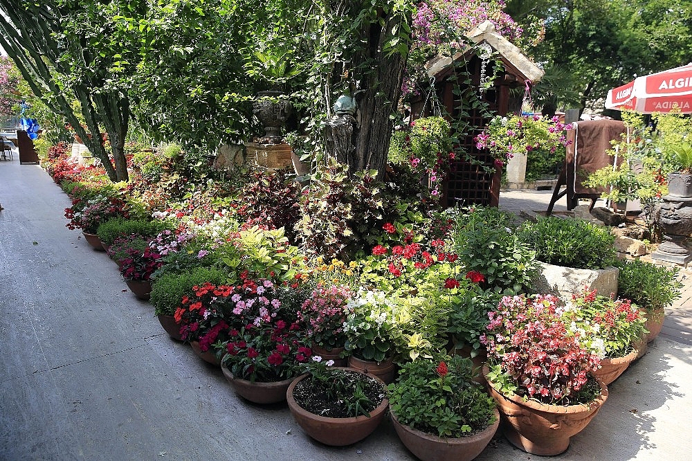 Antalya'nın en güzel bahçe ve balkonları belli oldu