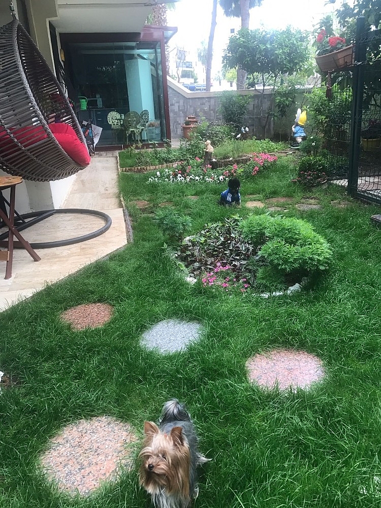 Antalya'nın en güzel bahçe ve balkonları belli oldu