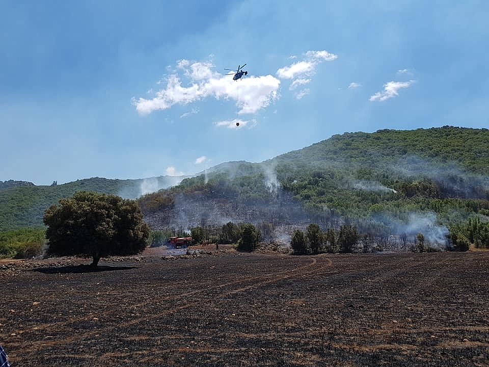 Kaş'ta orman yangını!