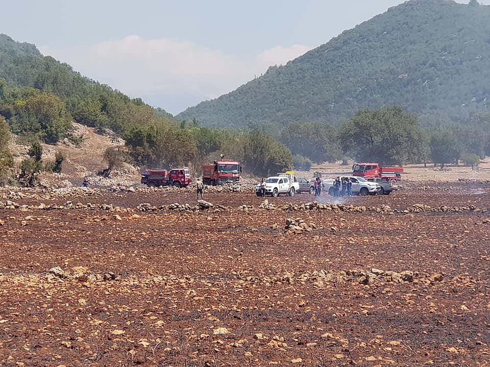 Kaş'ta orman yangını!