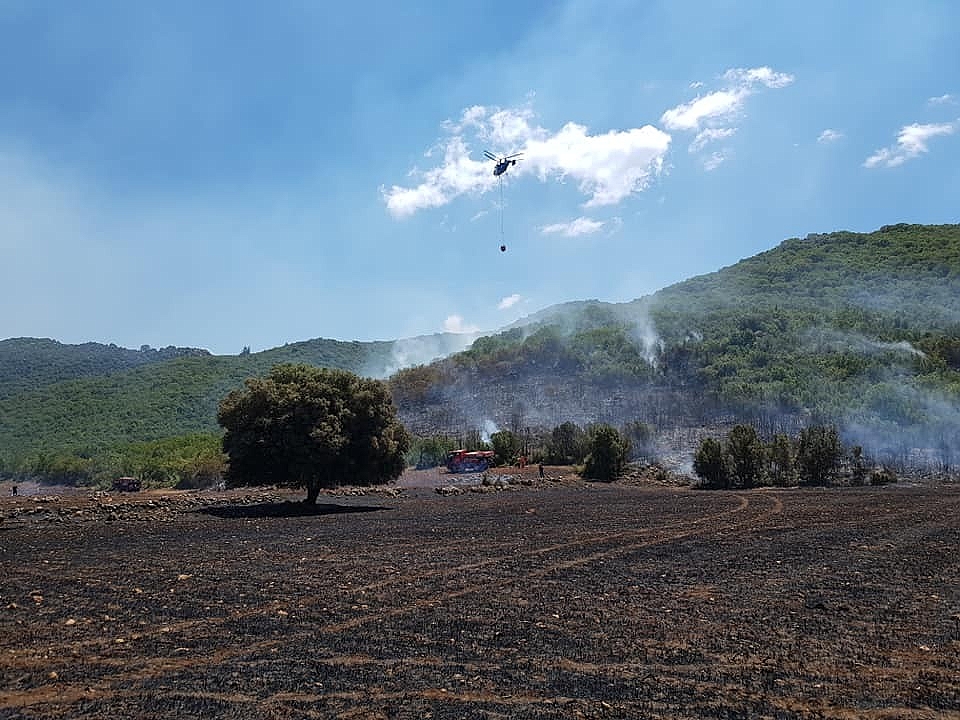 Kaş'ta orman yangını!