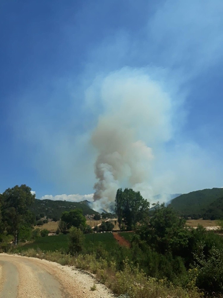 Kaş'ta orman yangını!