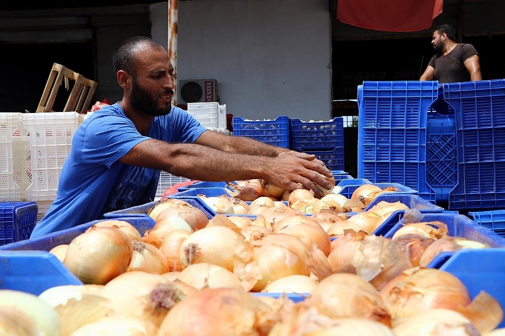 Patates ve soğandaki ateş sönüyor (Videolu)