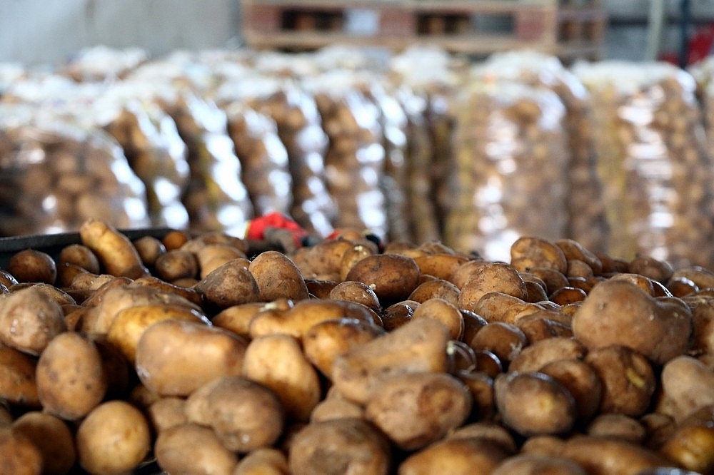 Patates ve soğandaki ateş sönüyor (Videolu)
