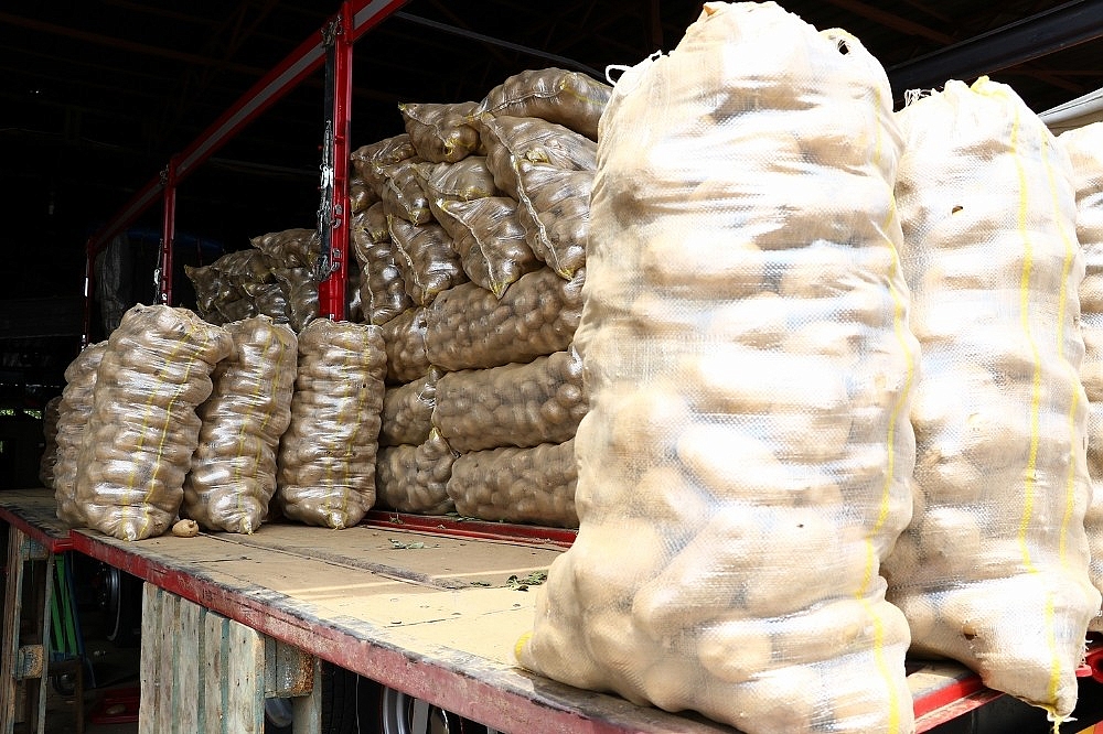 Patates ve soğandaki ateş sönüyor (Videolu)