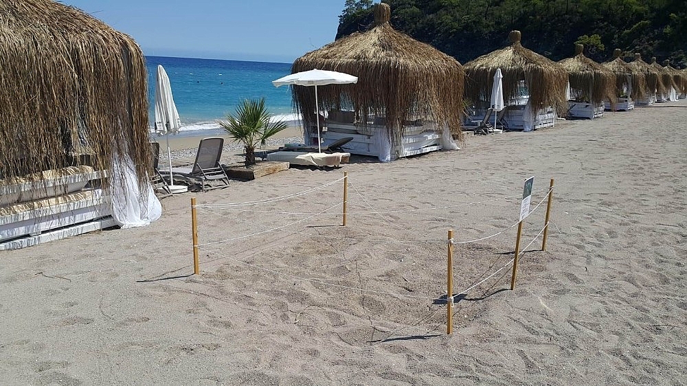 Antalya'da beş yıldızlı caretta caretta yuvaları