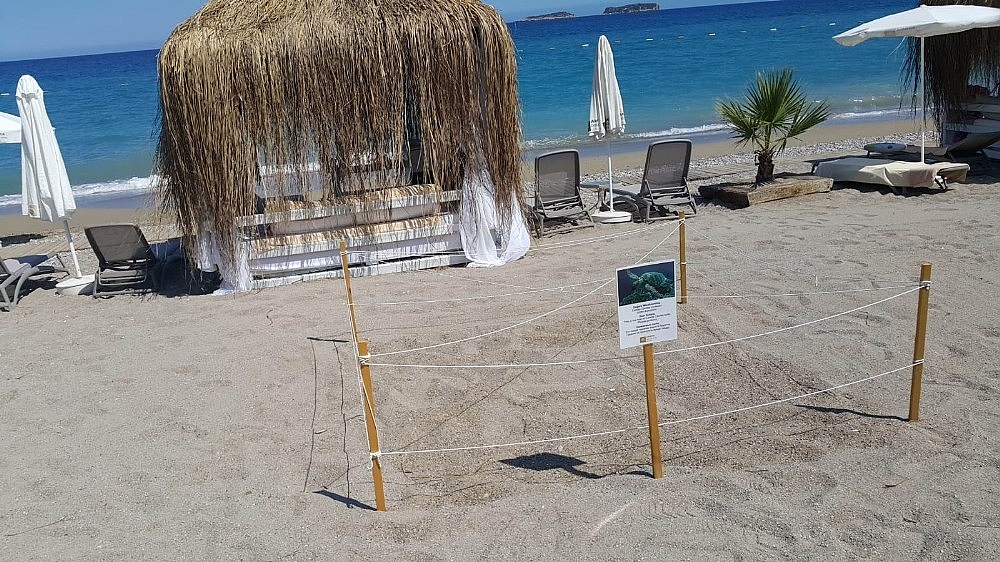 Antalya'da beş yıldızlı caretta caretta yuvaları