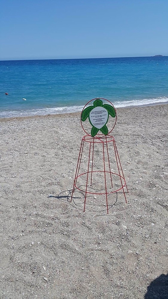Antalya'da beş yıldızlı caretta caretta yuvaları