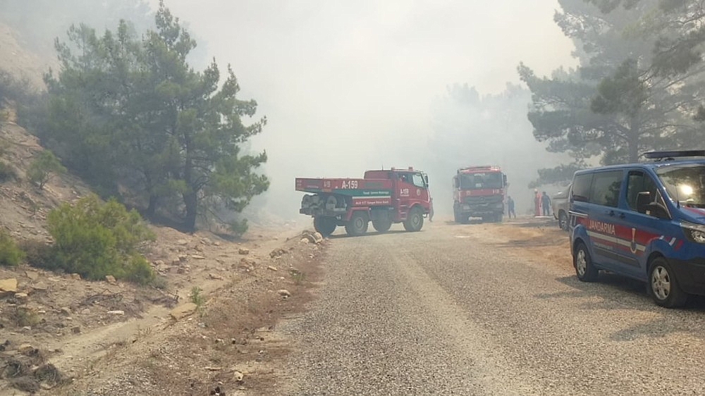 Antalya'da orman yangını!