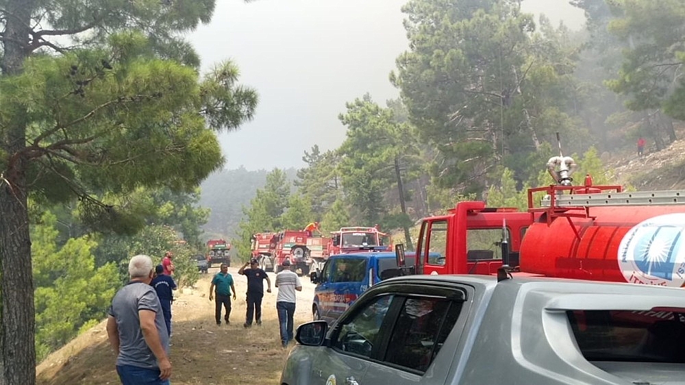 Antalya'da orman yangını!