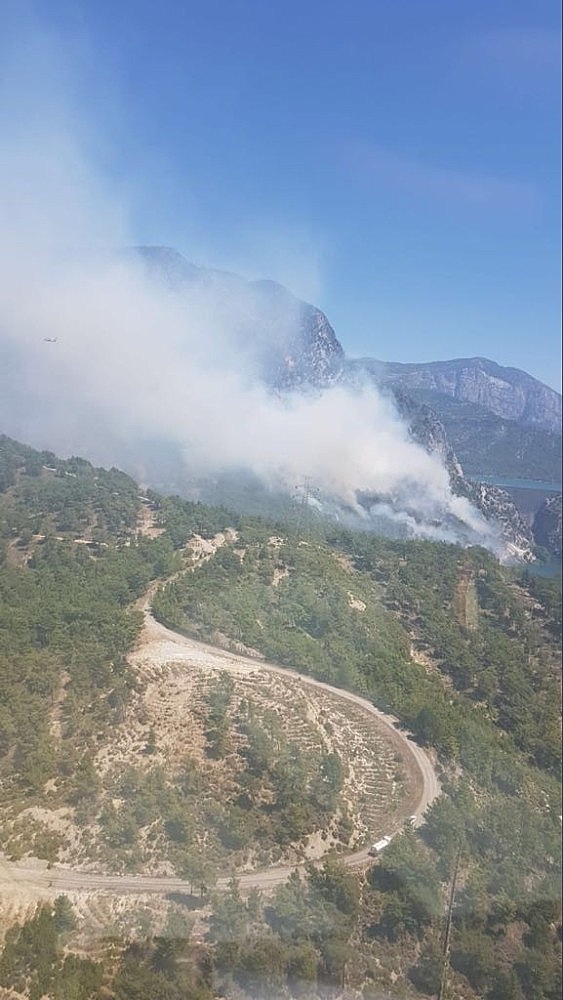 Antalya'da orman yangını!