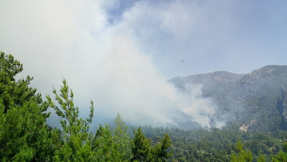 Antalya'da orman yangını!