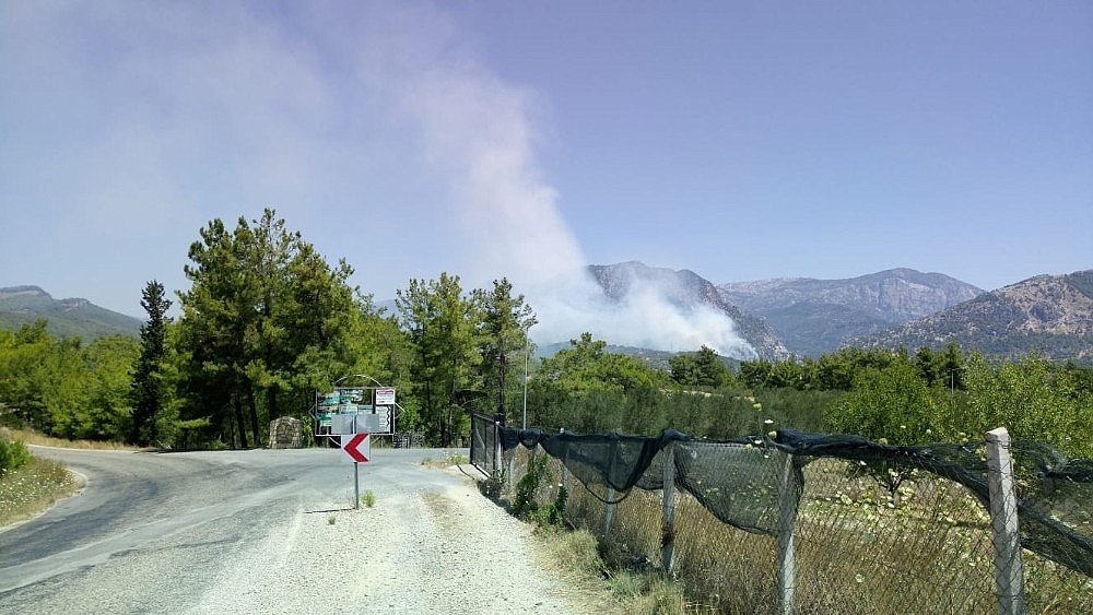 Antalya'da orman yangını!