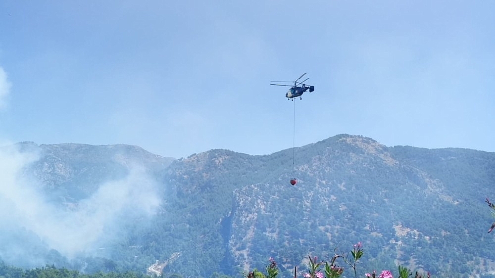 Antalya'da orman yangını!