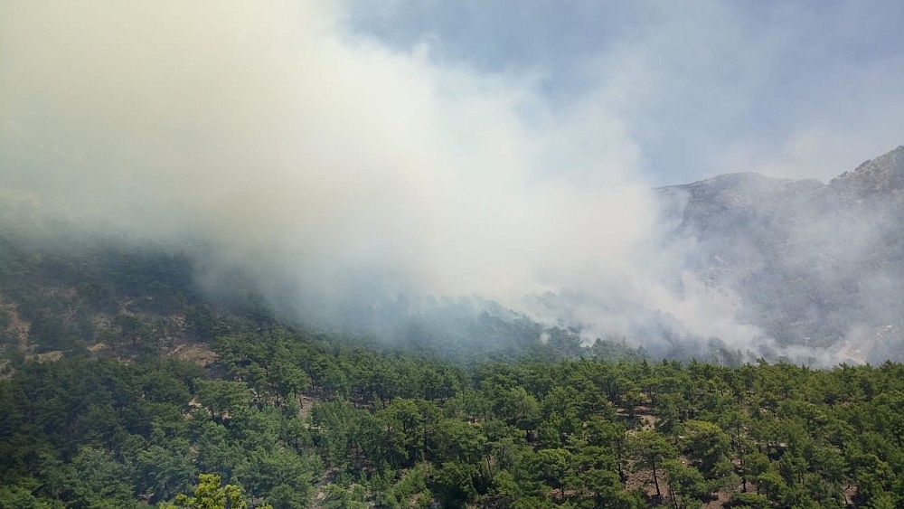 Antalya'da orman yangını!