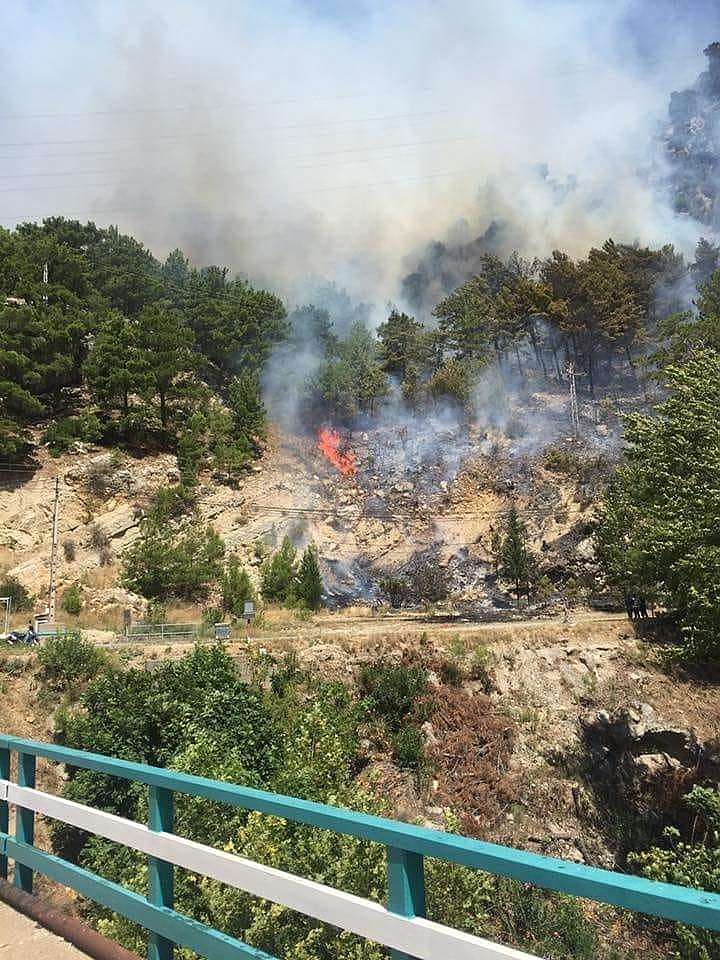 Antalya'daki orman yangını kontrol altına alındı!