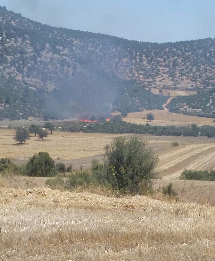Korkuteli'nde anız yangını!