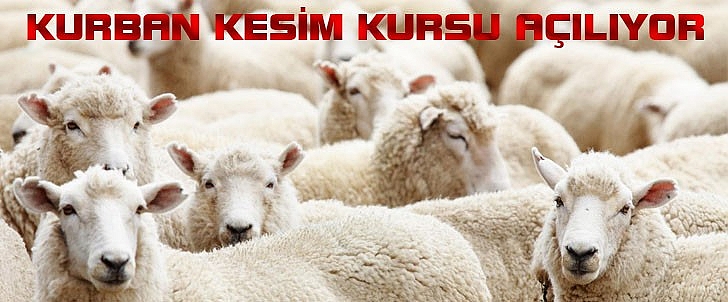 Kumluca'da kurban kesim kursu açılacak
