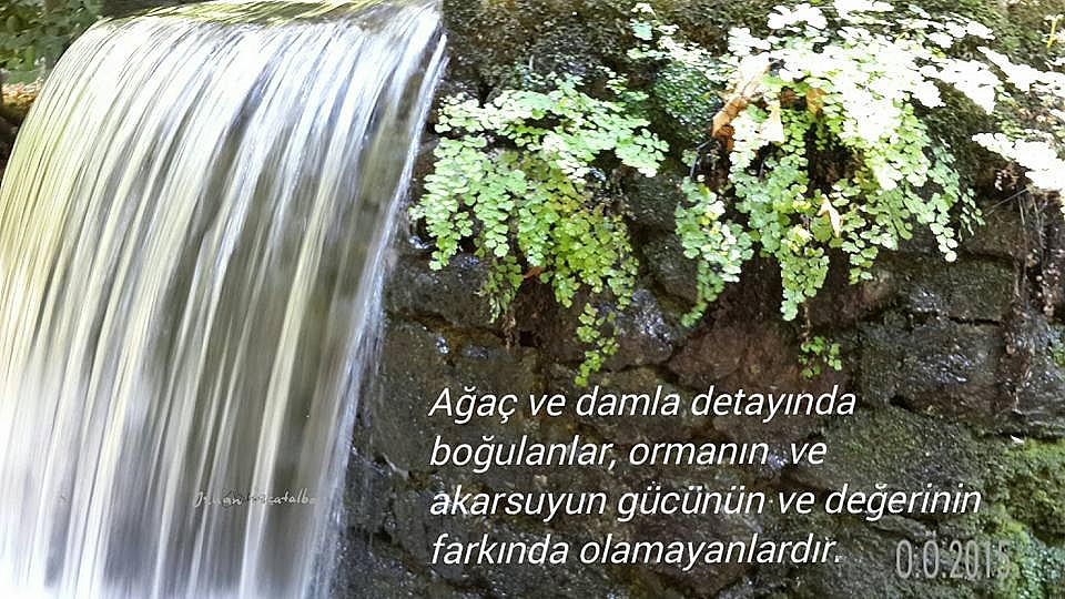 Kaos Tellalları!