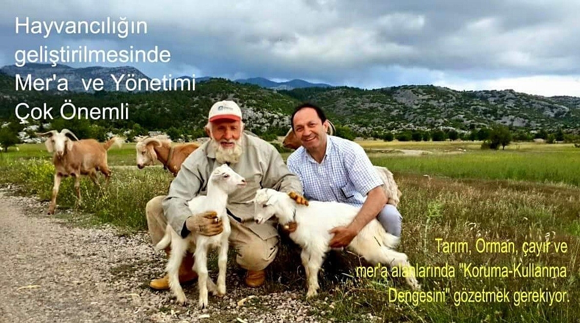 Süt Sektörü Ve Peynir Vizyonu