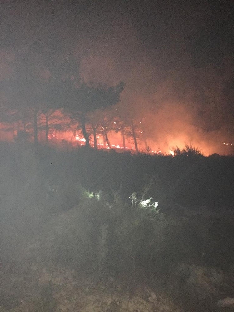 Manavgat'ta orman yangını!