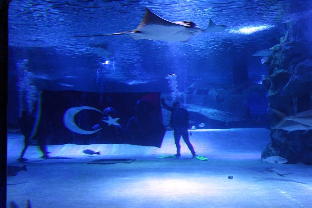 Vatozlar arasında Türk bayrağı açtılar