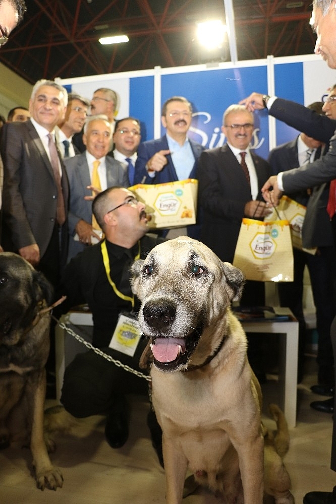 YÖREX, 9'uncu kez kapılarını açtı