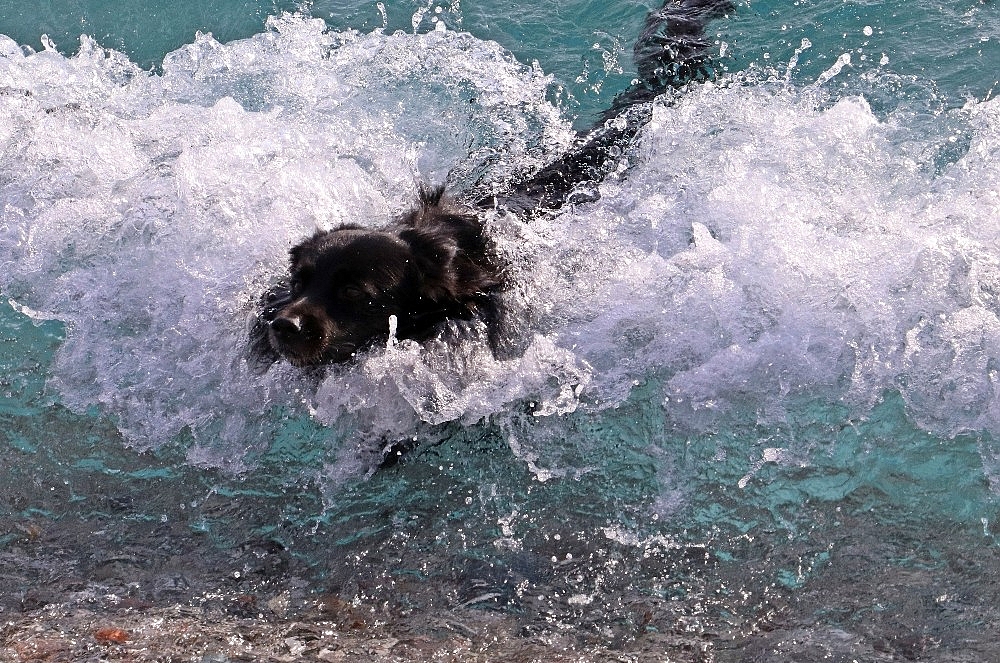 Antalya'da Kasım sonunda deniz keyfi