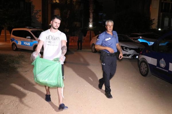 Antalya'da köpek ölümlerine yenileri eklendi