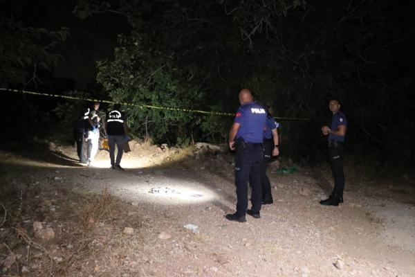 Antalya'da köpek ölümlerine yenileri eklendi