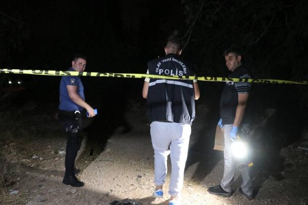 Antalya'da köpek ölümlerine yenileri eklendi
