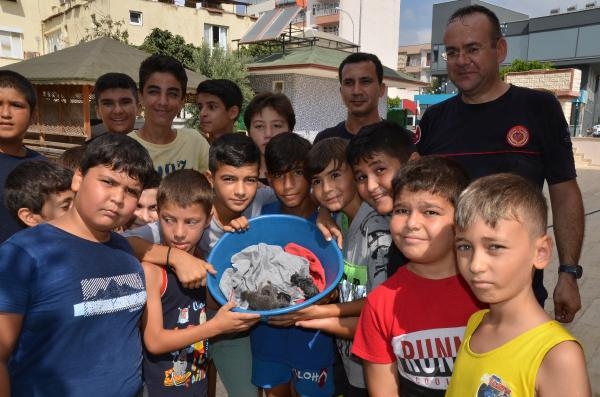 Rögarda mahsur kalan yavru kediler için seferberlik