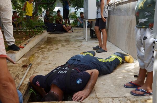 Rögarda mahsur kalan yavru kediler için seferberlik