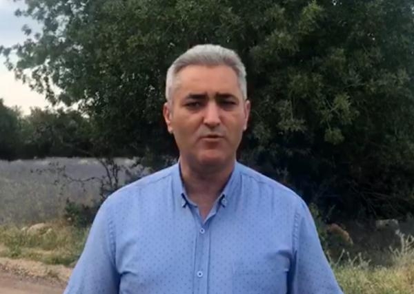 Yavru caretta carettalar için 'göbek bağı' uyarısı: Dokunmayın