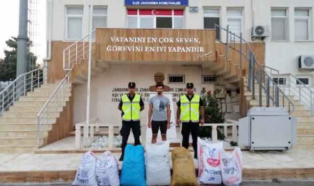 13 çuval keçiboynuzu çalanlar yakalandı