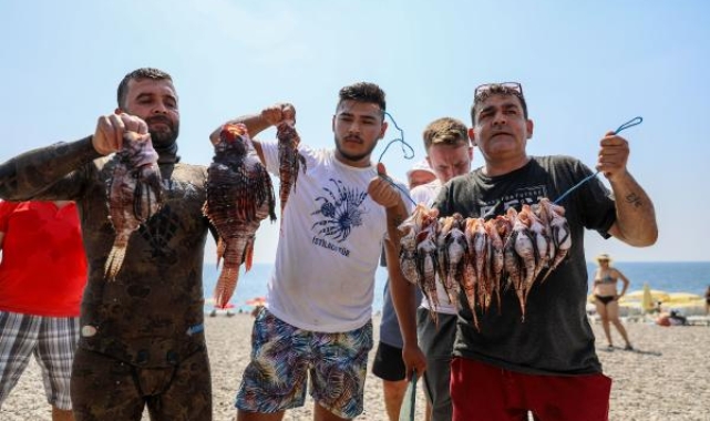 İstilacı türü avlamak için önce yarıştılar sonra yediler