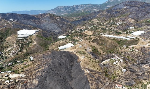 Antalya'daki orman yangınlarında 1350 hektar alan zarar gördü