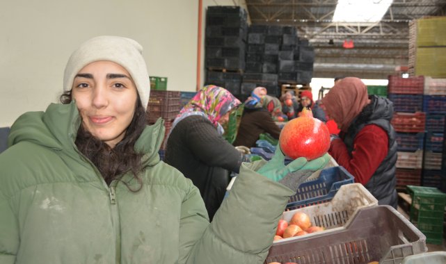 Korkuteli'den nar ihracatı başladı