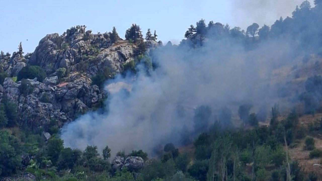 Alanya'da zirai alanda çıkan yangın söndürüldü