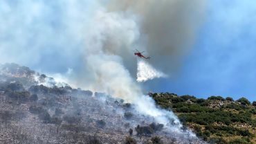 Antalya'da orman yangını / Ek fotoğraflar
