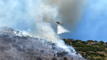 Antalya'da orman yangını / Ek fotoğraflar
