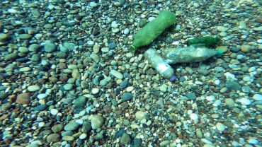 Deniz dibinde utandıran manzara; pet şişeye taş doldurup atıyorlar