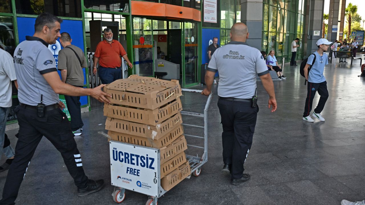 Otogarda, usulsüz taşınan 700 civcive el konuldu
